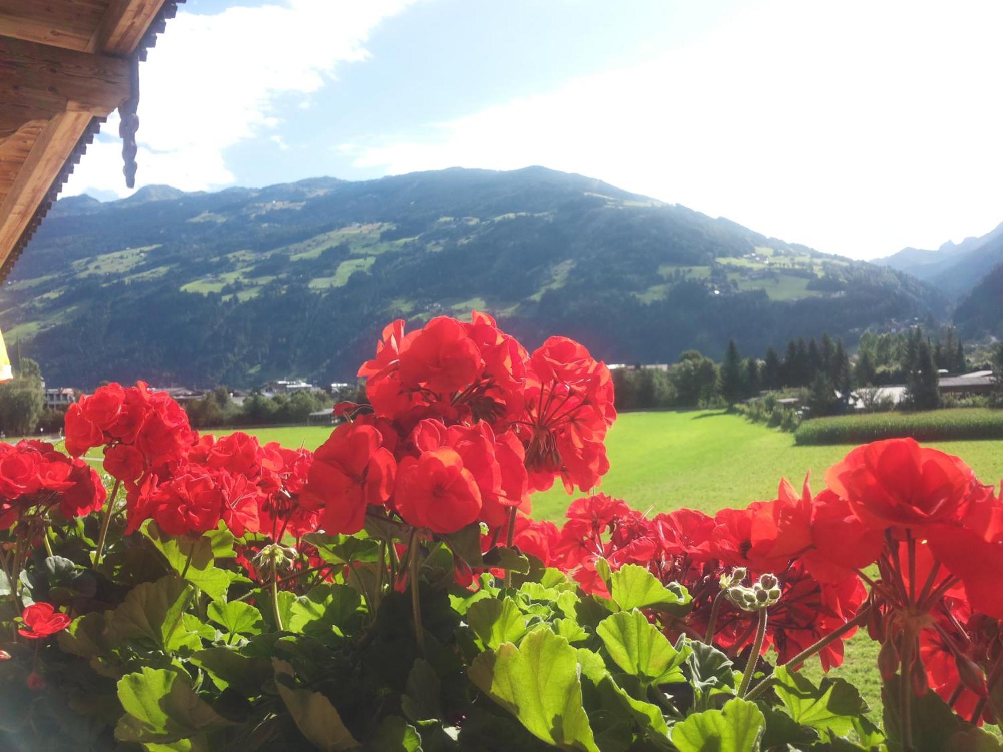 Tirol Appartement Haus Zillertal Целль-ам-Ціллер Номер фото